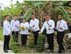 Berkah Bulan Ramadhan, Rutan Siak Kembali Panen Pisang dan Sawi Hasil Budidaya Warga Binaan.