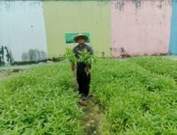 Bukti Nyata Lapas Pekanbaru Terus Produktif dan Konsisten Dukung Program Ketahanan Pangan