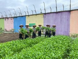 Lapas Pekanbaru Panen Sayur Kangkung Untuk Dukung Program Ketahanan Pangan