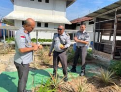 Wujudkan Program Ketahanan Pangan, Lapas Pekanbaru Panen Perdana Nanas Madu & Pakcoy Hidroponik