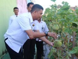 Panen Raya Melon di Lapas Pekanbaru Jadi Bukti Komitmen Dukung Ketahanan Pangan