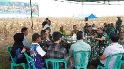 Inovasi Mikroba Danpuslatpur Kodiklatad Brigjen Dany Rakca sukseskan Panen Raya Jagung Bikin Petani Tercengang
