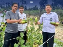 Kakanwil Ditjenpas Riau Panen Timun di Rutan Pekanbaru, Dorong Kemandirian Warga Binaan Melalui Program Ketahanan Pangan