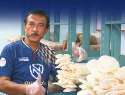 Inovasi Ketahanan Pangan, Kanwil Ditjenpas Riau Kembangkan Budidaya Jamur