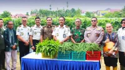 Kanwil Ditjenpas Riau Bersama Seluruh Ka. UPT Pemasyarakatan Se-Riau Mengikuti Zoom dan Laksanakan Panen Raya Serentak