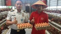 Dukung Program Ketahanan Pangan Nasional, Seksi Giatja Lapas Pekanbaru Panen Ratusan Butir Telur Ayam Tiap Hari