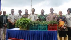 Lapas Pekanbaru Dukung Ketahanan Pangan Nasional, Ikuti Panen Raya Serentak Kemenimipas