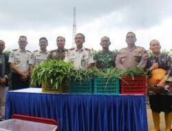 Lapas Pekanbaru Dukung Ketahanan Pangan Nasional, Ikuti Panen Raya Serentak Kemenimipas