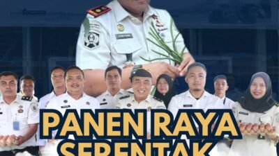 Kemenimipas Gelar Panen Raya Serentak Nasional, Lapas Pasir Pangarayan Panen  Sayur dan Telor Ayam Hasil Pembinaan Warga Binaan