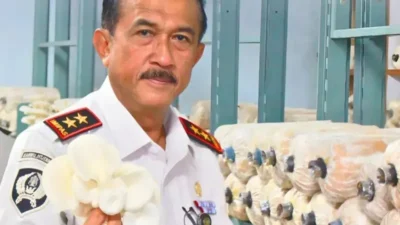 Panen Jamur Kanwil Ditjenpas Riau, Wujud Dukungan Asta Cita dan Program Prioritas Menteri Imipas