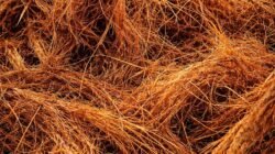 Optimalisasi Biomassa dari Limbah Serabut Industri Kelapa Sawit: Penerapan Metode Pembakaran sebagai Sumber Energi Terbarukan