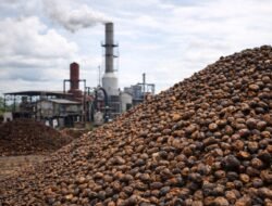 Energi dari Sisa Panen, PLTBm Buka Peluang Ekonomi dan Kurangi Emisi