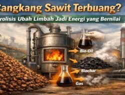 Cangkang Sawit Terbuang? Pirolisis Mengubah Limbah Menjadi Sumber Energi Bernilai