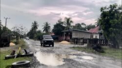 Polmetrik Indonesia: Perbaikan Jalan Padang Lamo Perlu Penguatan Informasi dan Koordinasi*