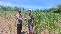 Polsek Tambusai Cinta Petani, Berikan Bantuan Racun Hama Kepada Petani