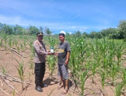 Polsek Tambusai Cinta Petani, Berikan Bantuan Racun Hama Kepada Petani