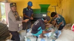 Polsek Tambusai Dampingi Pemipilan Jagung PT. PSA, Wujud Dukungan Polri terhadap Ketahanan Pangan