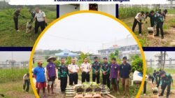 KERJA SAMA PEMANFAATAN FABA LAPAS NARKOTIKA RUMBAI GUNAKAN PUPUK ORGANIK BANTUAN PLN UNTUK PEMUPUKAN TANAMAN KETAHANAN PANGAN